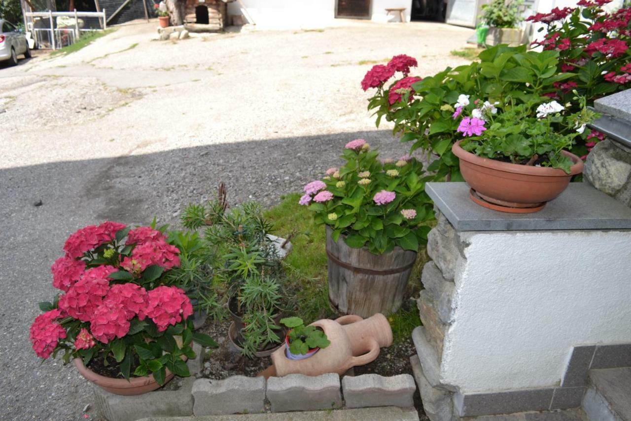 Appartamento Gruberhof Rodengo Esterno foto